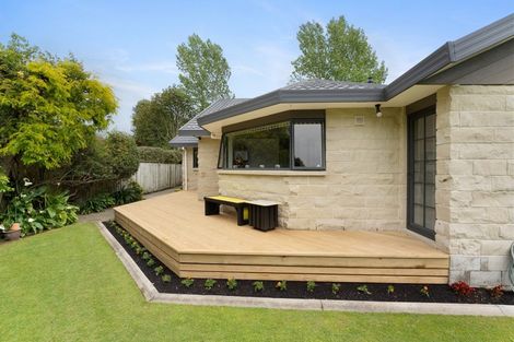 Photo of property in 87 Macarthur Street, Levin, 5510