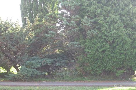 Photo of property in 38 Rathgar Road, Henderson, Auckland, 0610