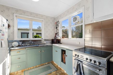 Photo of property in 15 Hobson Street, Maeroa, Hamilton, 3200