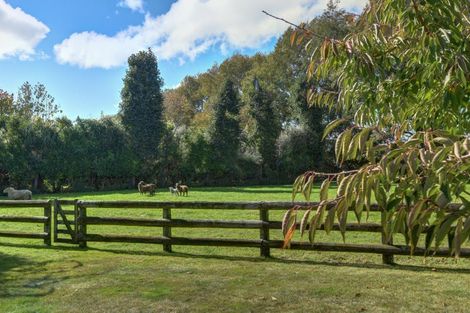 Photo of property in 19 Western Line, Brunswick, Whanganui, 4571