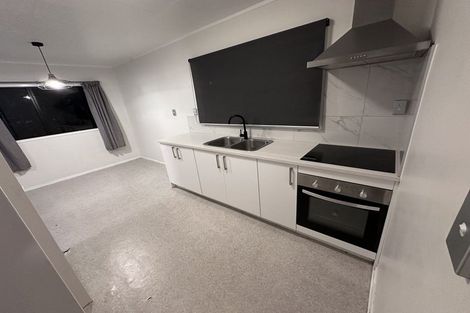 Photo of property in 133 Finlayson Avenue, Clendon Park, Auckland, 2103