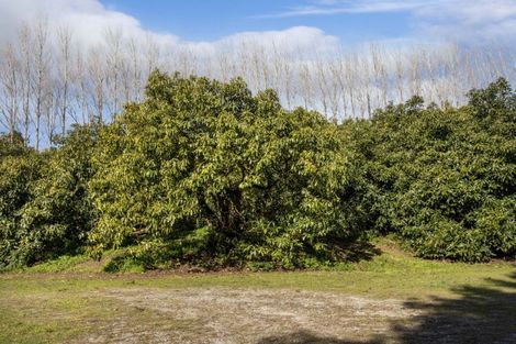 Photo of property in 308 Athenree Road, Athenree, Katikati, 3177