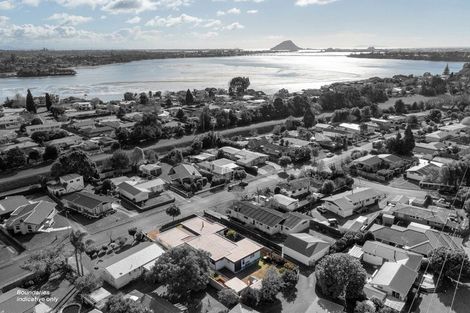 Photo of property in 50 Taipari Street, Maungatapu, Tauranga, 3112