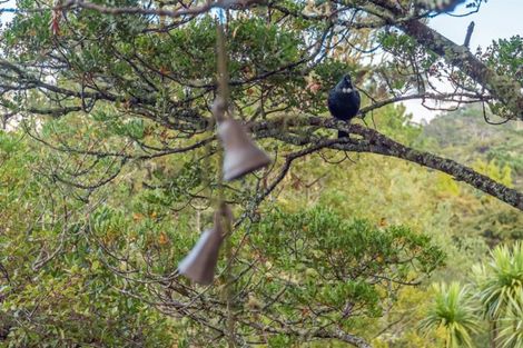 Photo of property in 8 Hebe Place, Birkenhead, Auckland, 0626