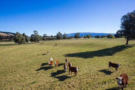 Photo of property in 232 Main Road South, East Taieri, Mosgiel, 9092