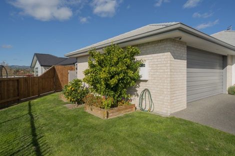 Photo of property in 8 Coad Lane, Pyes Pa, Tauranga, 3112