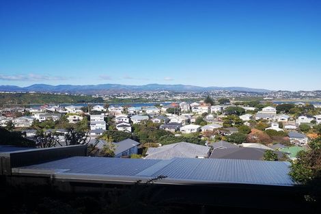 Photo of property in 93 Rakau Road, Hataitai, Wellington, 6021