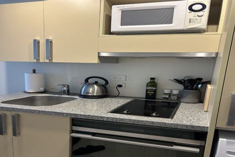 Photo of property in Dual Apartments, 108/142u Vivian Street, Te Aro, Wellington, 6011