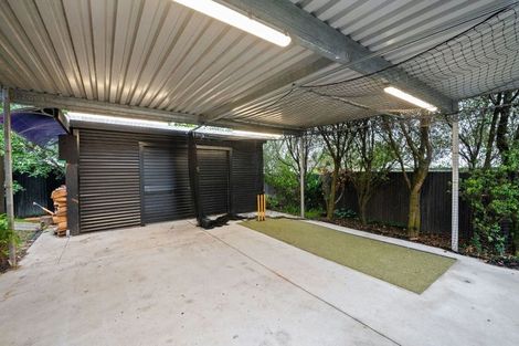 Photo of property in 21 Dinsdale Road, Dinsdale, Hamilton, 3204