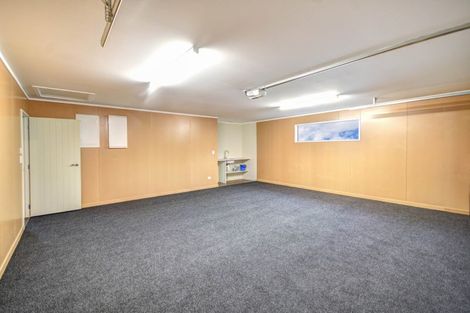 Photo of property in 9 Balfour Street, Mornington, Wellington, 6021