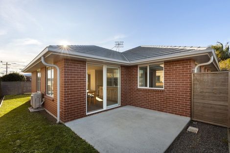 Photo of property in 19a Taupo Avenue, Mount Maunganui, 3116