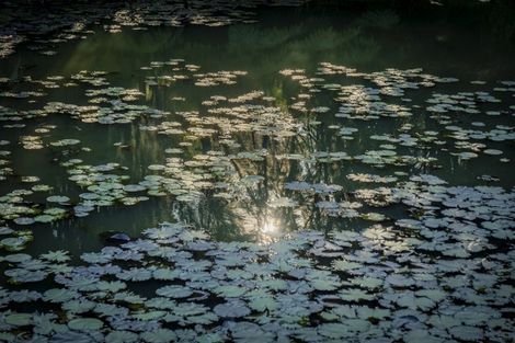 Photo of property in 14 Ohuka Place, Whitianga, 3510