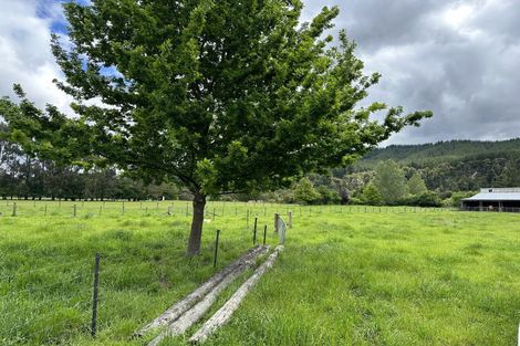 Photo of property in 454 Korere Tophouse Road, Motupiko, Saint Arnaud, 7072