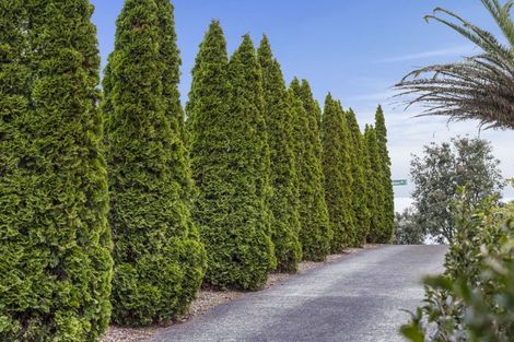 Photo of property in 7 Jubaea Place, Henderson, Auckland, 0610