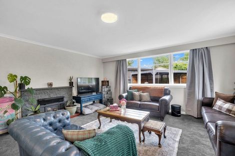 Photo of property in 20 Michael Street, Rakaia, 7710