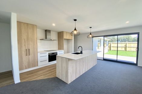 Photo of property in 22 Dallimore Drive, Belfast, Christchurch, 8051