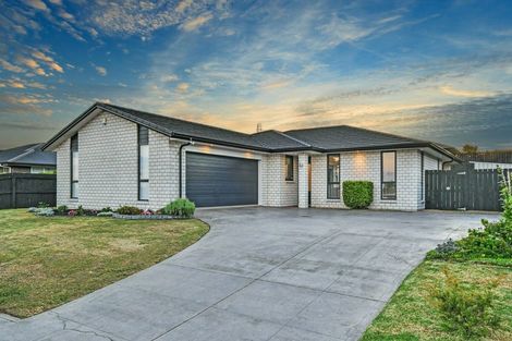 Photo of property in 10 Mcneish Place, Pokeno, 2402