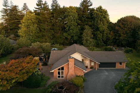 Photo of property in 10 Sanctuary Lane, Tamahere, Hamilton, 3283