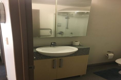 Photo of property in Dual Apartments, 108/142u Vivian Street, Te Aro, Wellington, 6011