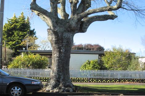 Photo of property in 3/112 Firth Street, Hamilton East, Hamilton, 3216