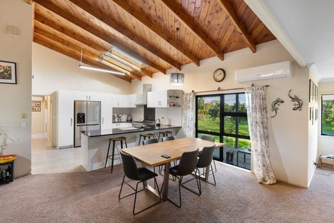 Photo of property in 249 Tararua Road, Levin, 5571