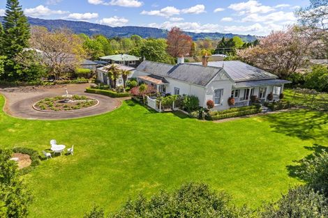 Photo of property in 50 Moehau Street, Te Puke, 3119