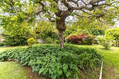 Photo of property in 33a Ainslie Road, Paeroa, 3600