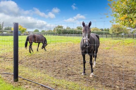 Photo of property in 35 Taplin Road, Matangi, Hamilton, 3283
