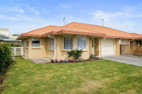 Photo of property in 1b Hannan Street, Levin, 5510