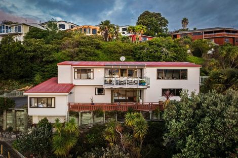 Photo of property in 21 Denholm Road, Hospital Hill, Napier, 4110