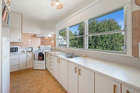 Photo of property in 19 Franklin Terrace, Havelock North, 4130