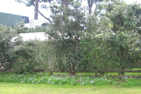 Photo of property in 234 Tangiora Avenue, Whangapoua, Coromandel, 3582
