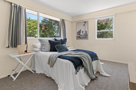 Photo of property in 33 Daniell Street, Solway, Masterton, 5810