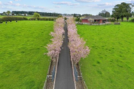 Photo of property in 137 Hart Road, Pukekohe, 2676