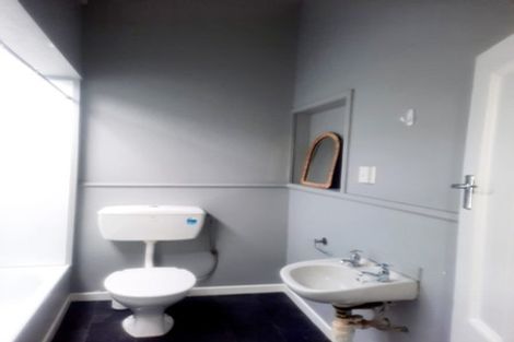 Photo of property in 117 Wallace Street, Mount Cook, Wellington, 6021