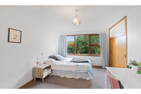 Photo of property in 53 Beckford Road, Saint Martins, Christchurch, 8022