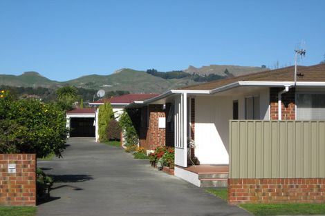 Photo of property in 1/33 Middle Road, Havelock North, 4130