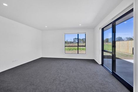 Photo of property in 130c Manawapou Road, Hawera, 4610