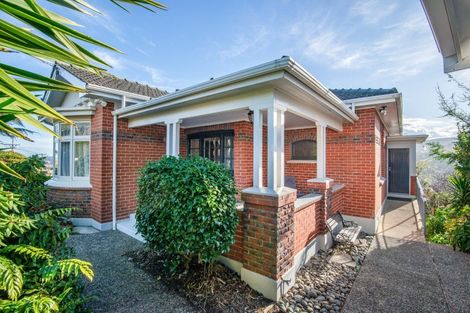 Photo of property in 113 Signal Hill Road, Opoho, Dunedin, 9010