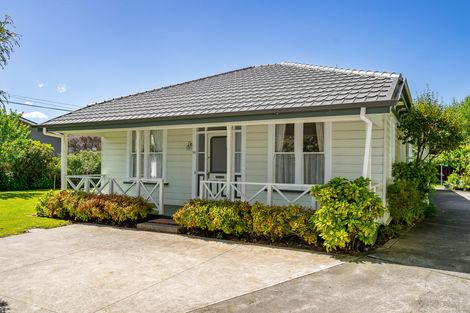 Photo of property in 50 Cornwall Street, Masterton, 5810