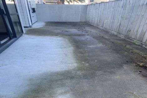 Photo of property in 195u1 Massey Street, Frankton, Hamilton, 3204