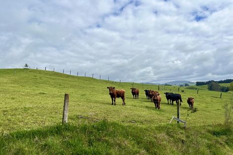Photo of property in 270 Whakapapa Road, Ohakuri, Reporoa, 3083
