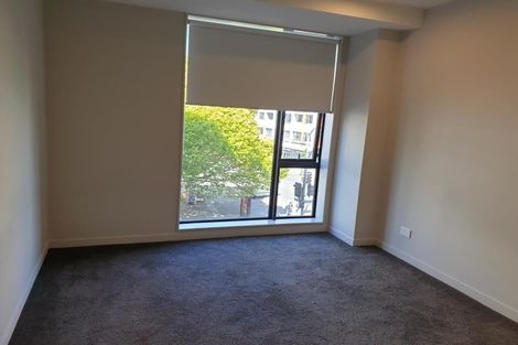 Photo of property in Vsp South, 207/168u Victoria Street, Te Aro, Wellington, 6011