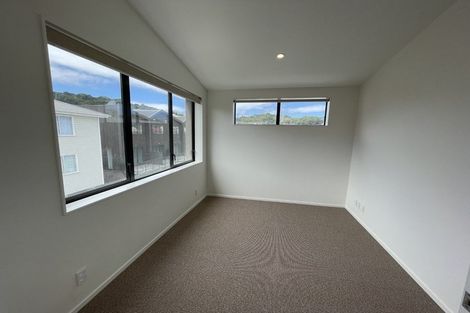 Photo of property in Aniva Terrace, 21 Arney Street, Newtown, Wellington, 6021