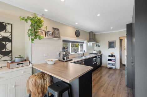 Photo of property in 259 Lyttelton Street, Spreydon, Christchurch, 8024