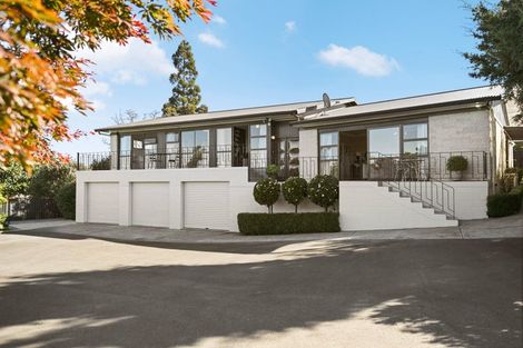 Photo of property in 33a Carey Street, Maeroa, Hamilton, 3200