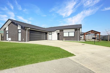 Photo of property in 79 Hinemoa Street, Levin, 5510