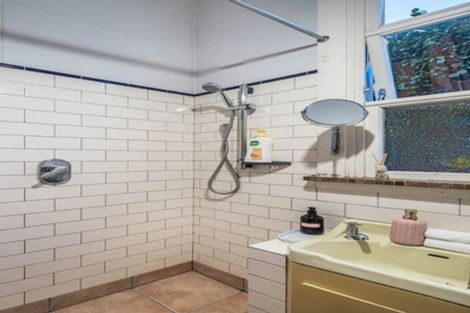 Photo of property in 43 Bidwill Street, Mount Cook, Wellington, 6021