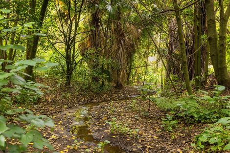 Photo of property in 12 Oceana Drive, Welcome Bay, Tauranga, 3175