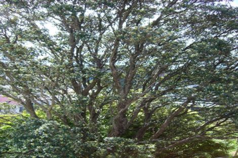 Photo of property in 54 Thompson Street, Mount Cook, Wellington, 6011